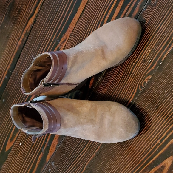 Suede Ankle Boots - Picture 1 of 6